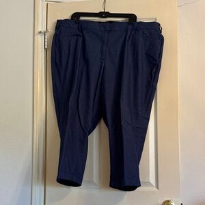 Lane Bryant Blue Jean like Trousers